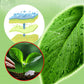 🌱Plant Flower Insect Repellent Tablet🌱（🔥BUY 3 GET 5 FREE🔥）