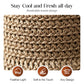 ⏳Time-Limited Special⏰Straw Hat with Retro Bow – Foldable & Breathable for Summer