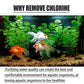 ✨️🐟️Fish Ponds Aquariums Chlorine Removal Tablets🌬️