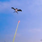 ⏳Time-Limited Special⏰ Fishing Rod Kites – Easy to Control, Boosts Coordination & Fun Outdoor Play 👦
