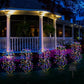 ⏳Time-Limited Special⏰Solar Garden Lights Outdoor Decor – 100 LEDs, IP55 Waterproof, Easy Install 🌙