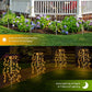 ⏳Time-Limited Special⏰Solar Garden Lights Outdoor Decor – 100 LEDs, IP55 Waterproof, Easy Install 🌙