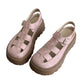 ⏳Time-Limited Special⏰Women's Platform Chunky Sandals – Cushioned Footbed & Anti-Slip Sole – Stylish, Comfy & Breathable 🏖️