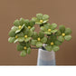 ⏳Time-Limited Special⏰Everlasting Ceramic Floral Decoration – Glossy, Zero Maintenance, Timeless 🌷