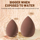 ⏳Time-Limited Special⏰All-in-One Makeup Brush & Sponge Set