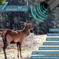 Ultrasonic Deer Warning Whistle Repeller for Car